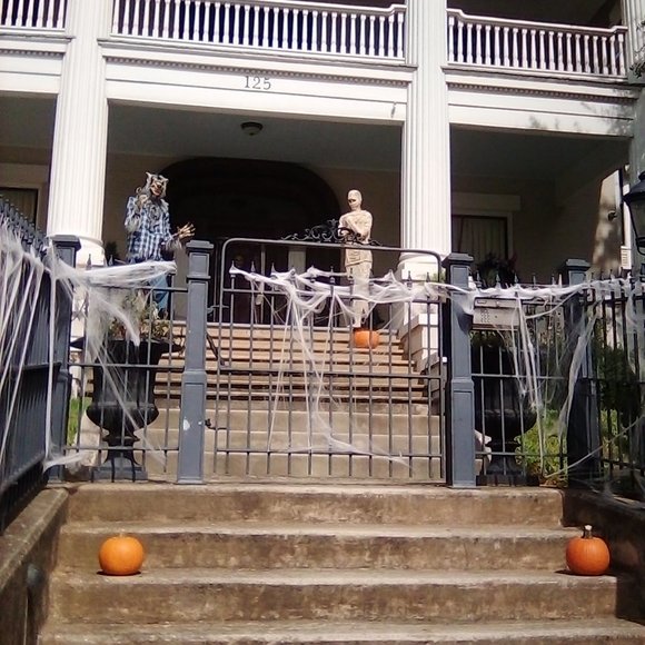 Meet your Posher, Norma Yvonne, aka, PYRETTA BLAZE - Picture 6 of 7